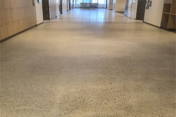 悉尼大学.png